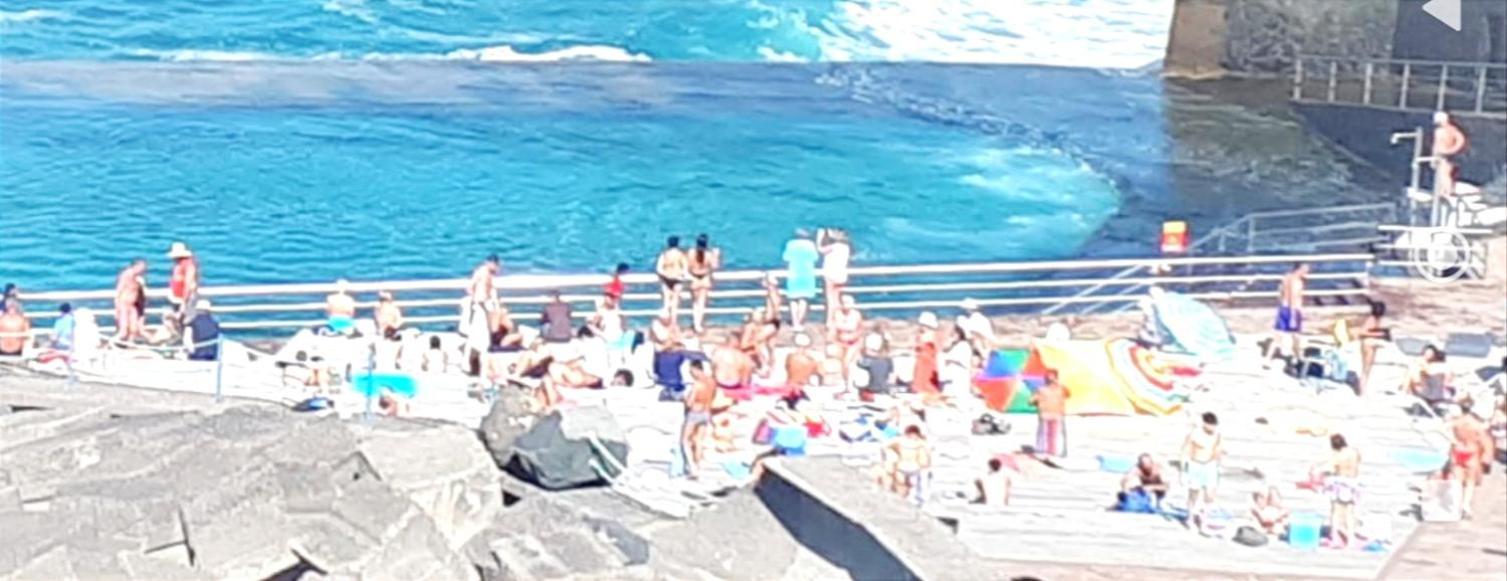 Salitre Oasis *